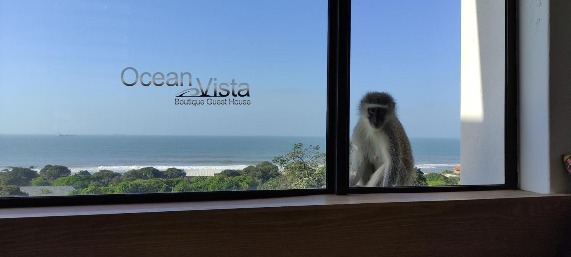 Ocean Vista Boutique Guest House Дърбан Екстериор снимка